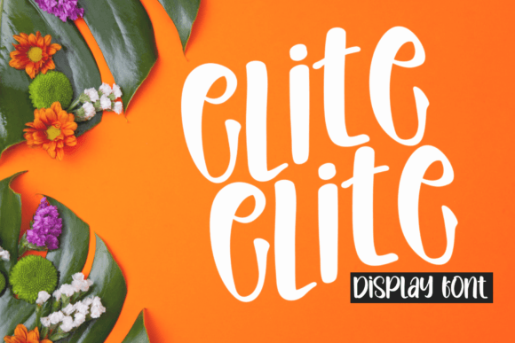 Elite Display Font: A Timeless Choice for Branding and Logos