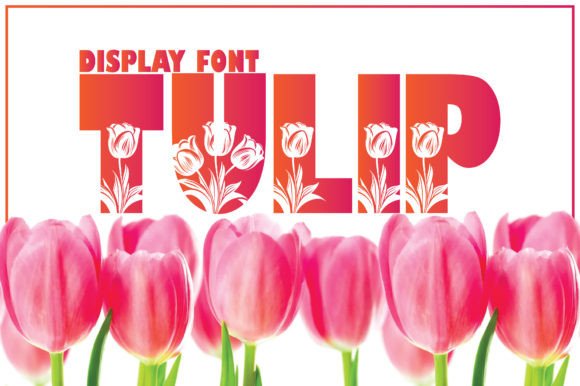 Tulip: A Bold Display Font for Playful and Scientific Design